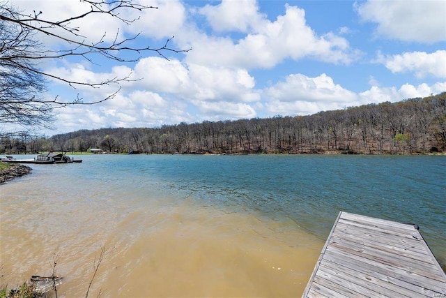 view of dock featuring a water view