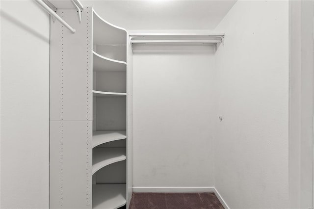 spacious closet featuring carpet