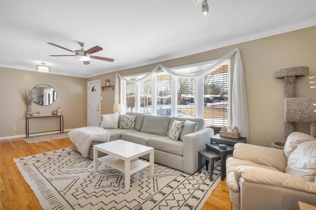 living room with ceiling fan, light wood-type flooring, and crown molding