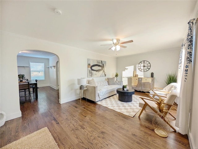 living room featuring ceiling fan, crown molding, and hardwood / wood-style floors