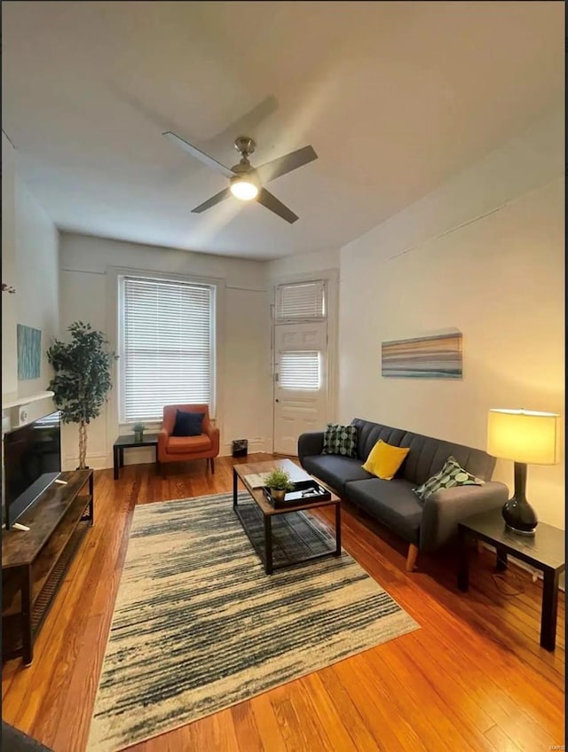 living room with ceiling fan and wood-type flooring