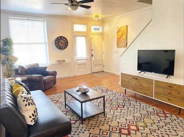 living room with ceiling fan, hardwood / wood-style flooring, and crown molding