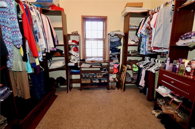 spacious closet with carpet floors