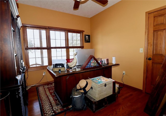 office with ceiling fan and dark hardwood / wood-style flooring