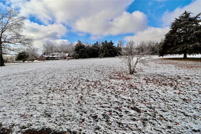 view of yard covered in snow