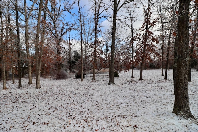 view of snowy landscape