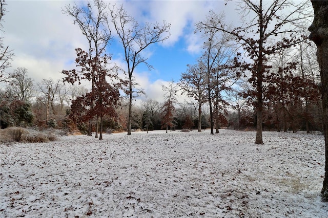 view of snow covered land