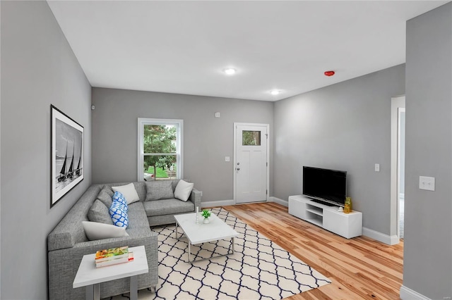 living room featuring hardwood / wood-style floors