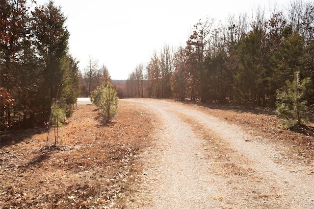 view of road