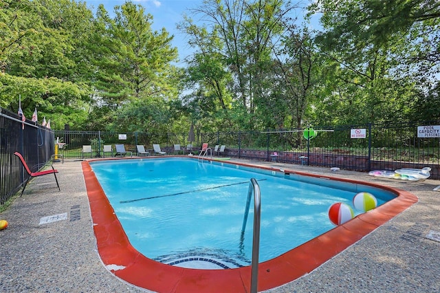 view of swimming pool