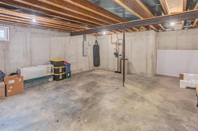 basement with electric panel