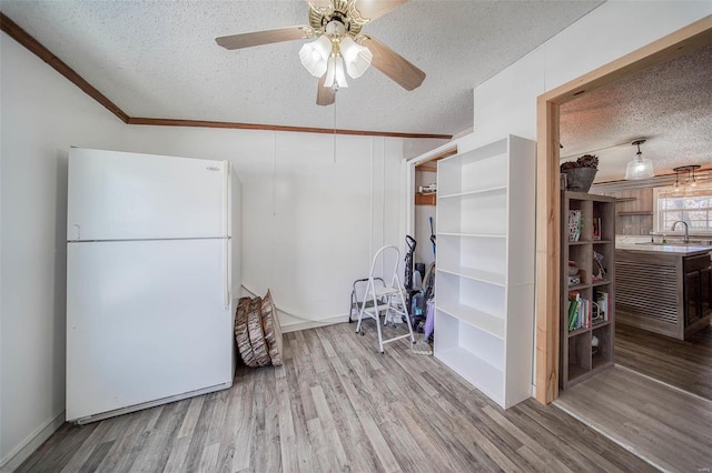 interior space with ceiling fan, sink, crown molding, light wood-type flooring, and a textured ceiling