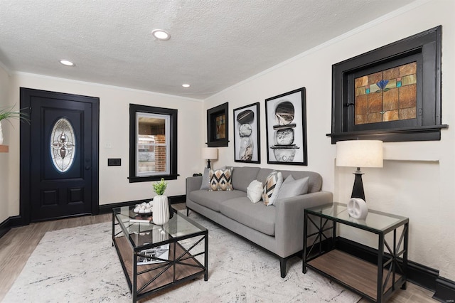 living room featuring wood-type flooring, a textured ceiling, and ornamental molding