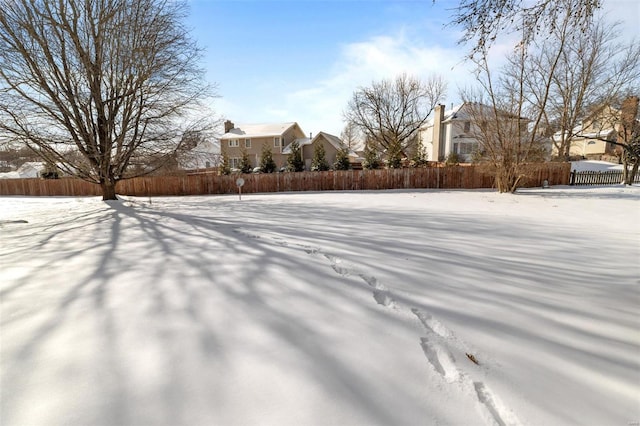 view of yard covered in snow