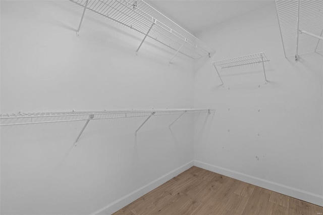 spacious closet featuring hardwood / wood-style flooring