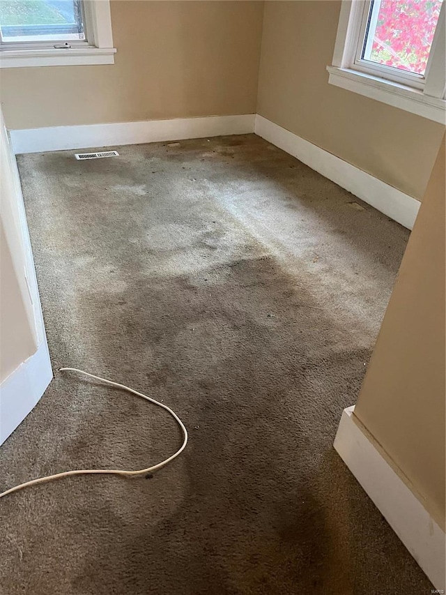 interior details with carpet flooring