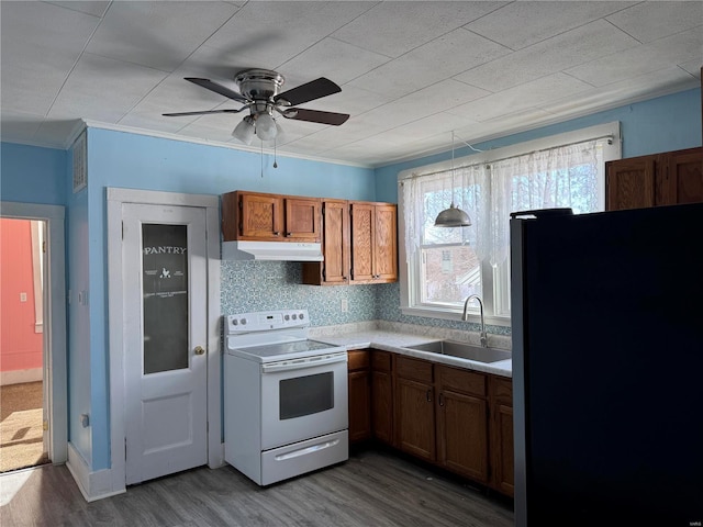 kitchen featuring sink, white electric range oven, dark hardwood / wood-style floors, decorative light fixtures, and fridge