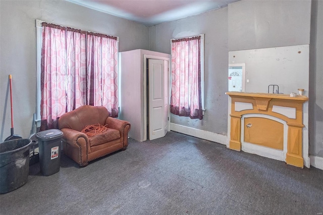 living area featuring dark colored carpet