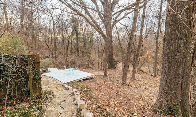 view of yard with a deck