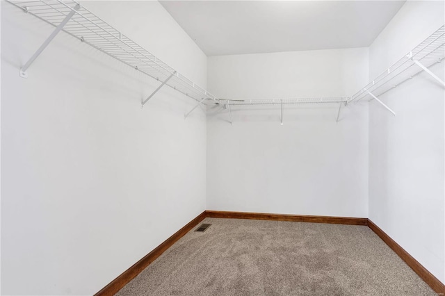 spacious closet with carpet flooring