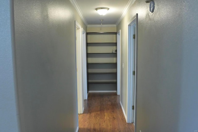 hallway with crown molding and dark hardwood / wood-style flooring