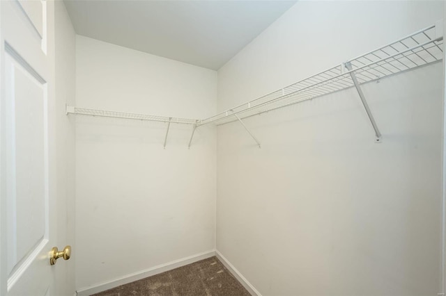 spacious closet with dark carpet