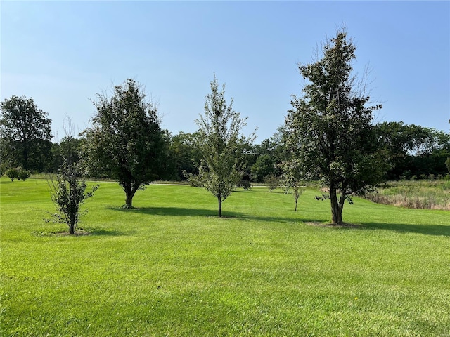 view of yard with a rural view