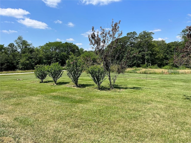 view of yard with a rural view