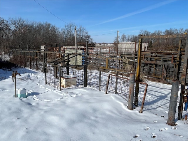 view of snowy yard