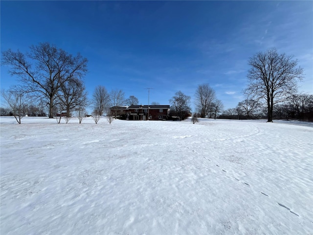 view of yard layered in snow