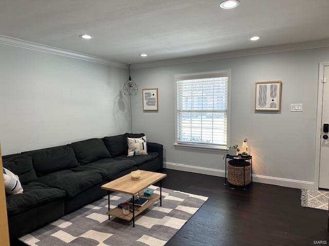 living room featuring dark wood-type flooring and crown molding