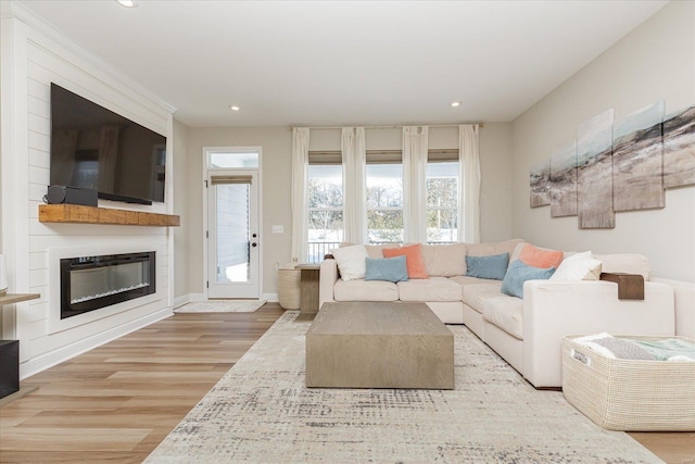 living room featuring a fireplace and light hardwood / wood-style floors