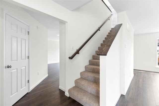 staircase with hardwood / wood-style flooring