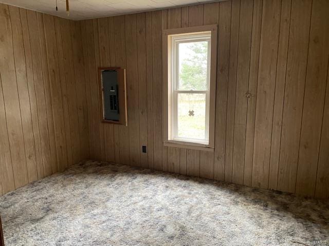 spare room featuring wooden walls, carpet, and electric panel