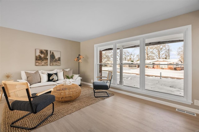 living room featuring hardwood / wood-style floors