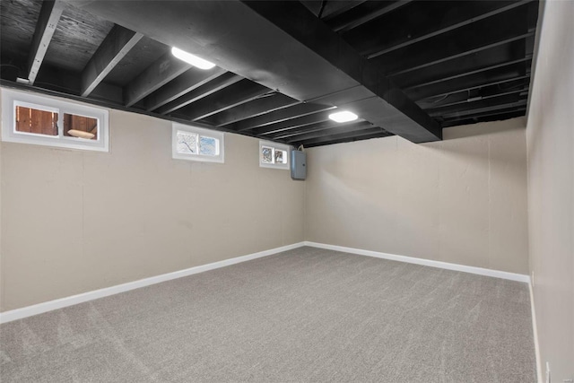 basement with carpet floors and electric panel