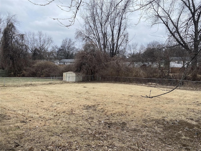 view of yard featuring a storage unit