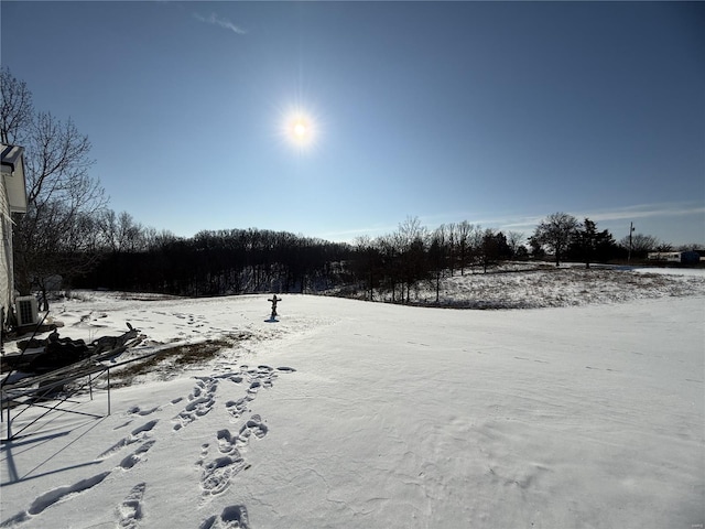 view of yard covered in snow