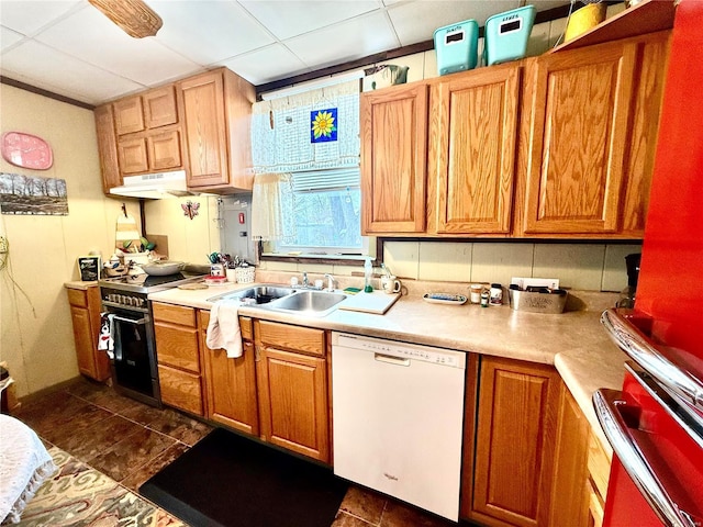 kitchen featuring sink, a drop ceiling, black range with electric cooktop, refrigerator, and white dishwasher