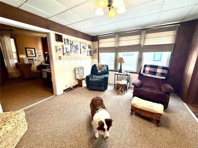 living area featuring a paneled ceiling, wood walls, and carpet floors