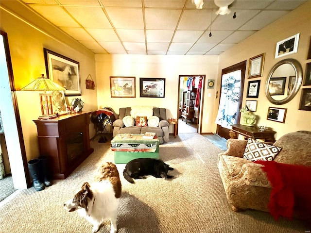 carpeted living room featuring a drop ceiling