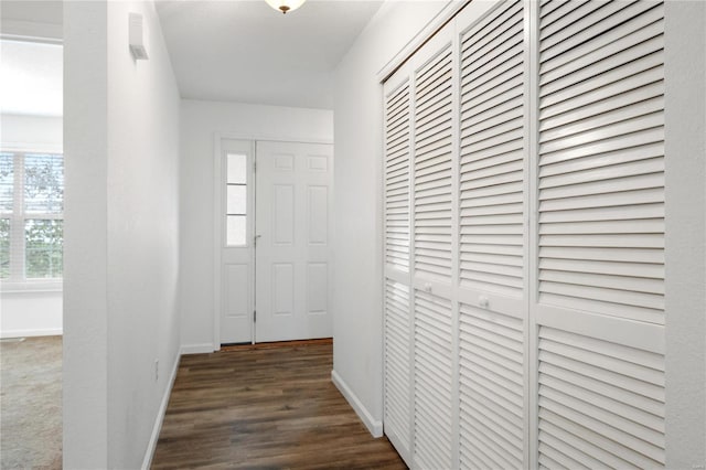 hall featuring dark hardwood / wood-style floors