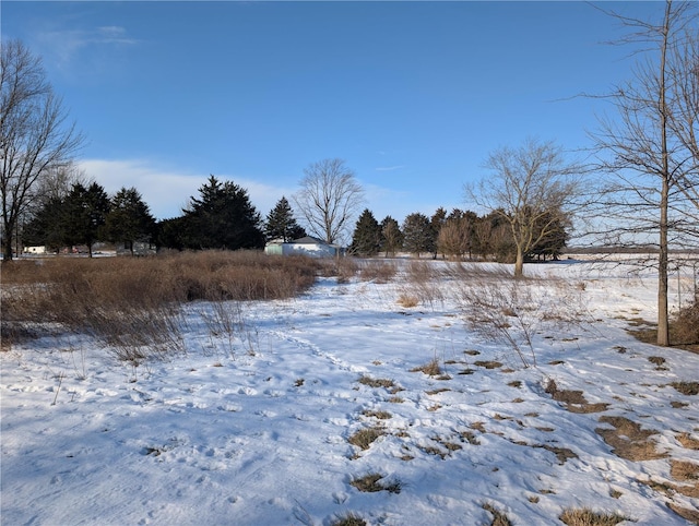 view of snowy yard