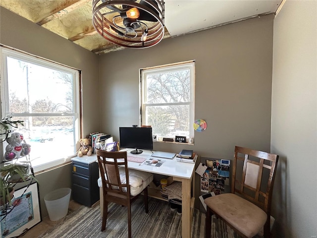 office space featuring dark hardwood / wood-style floors and a wealth of natural light