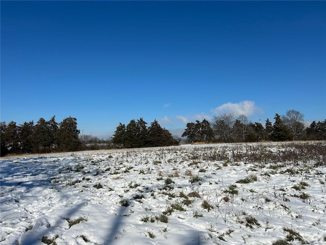 view of yard layered in snow