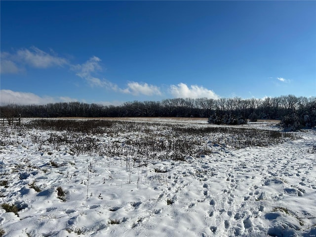 view of yard layered in snow