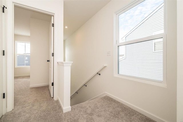 stairs with carpet flooring