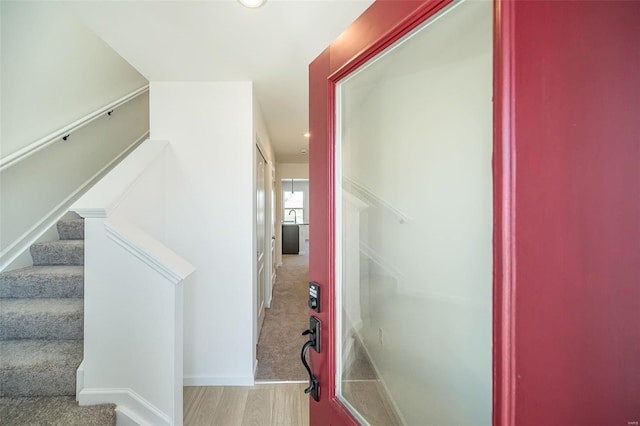 stairway with wood-type flooring