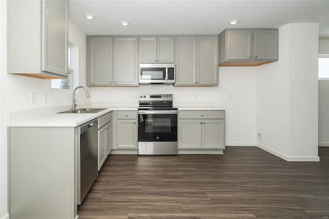 kitchen featuring stainless steel appliances, sink, and gray cabinets