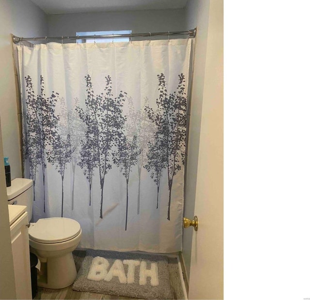 bathroom with vanity, hardwood / wood-style flooring, and toilet